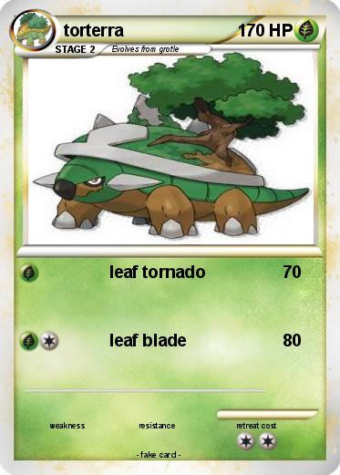 Pokemon torterra