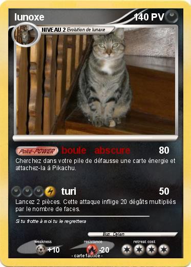 Pokemon lunoxe