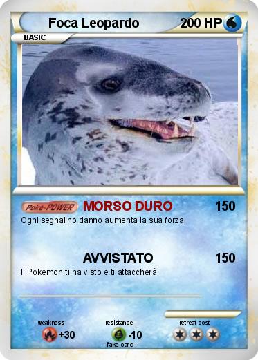 Pokemon Foca Leopardo