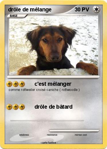 Pokemon drôle de mélange