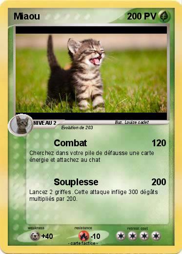 Pokemon Miaou