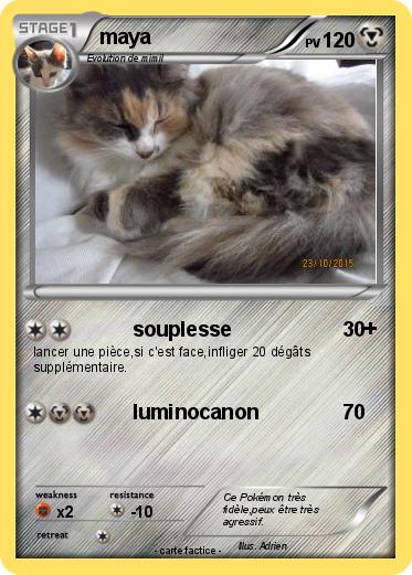 Pokemon maya