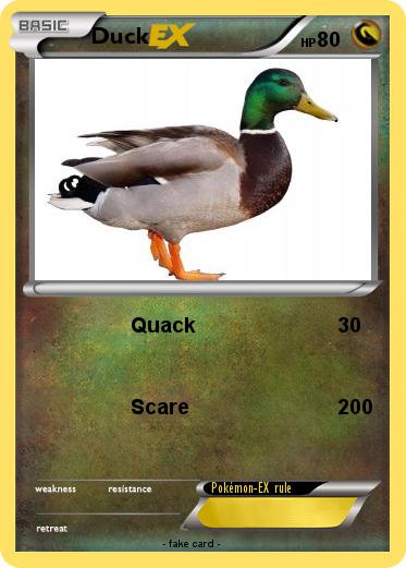 Pokemon Duck