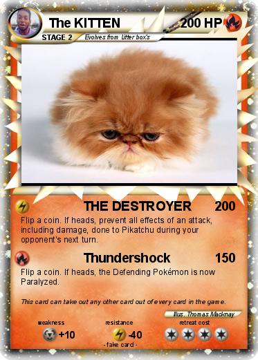 Pokemon The KITTEN