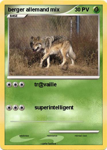 Pokemon berger allemand mix