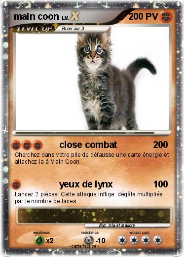 Pokemon main coon