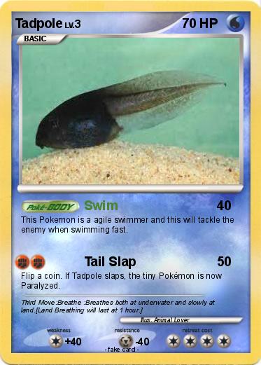 Pokemon Tadpole