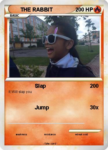 Pokemon THE RABBIT