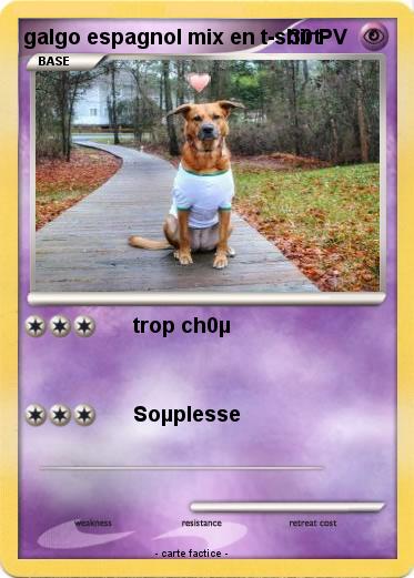 Pokemon galgo espagnol mix en t-shirt