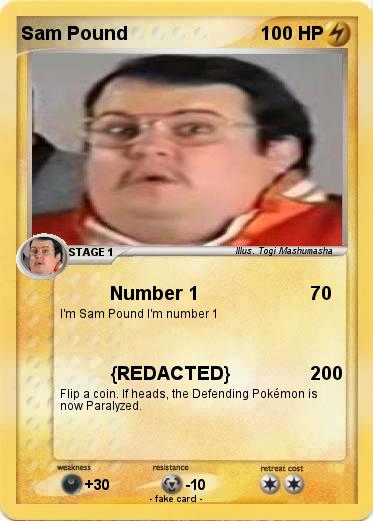Pokemon Sam Pound