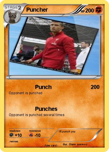 Pokemon Puncher