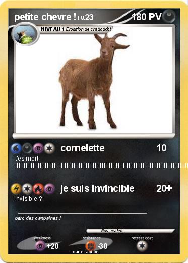 Pokemon petite chevre !