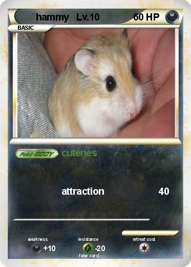 Pokemon hammy   Lv.10