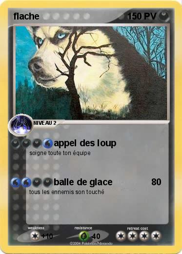 Pokemon flache