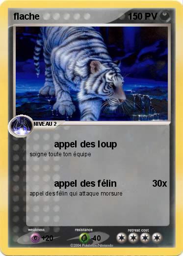 Pokemon flache