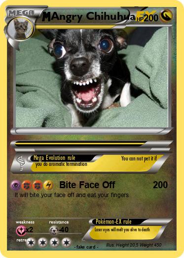 Pokemon Angry Chihuhua