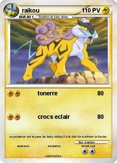 Pokemon raikou