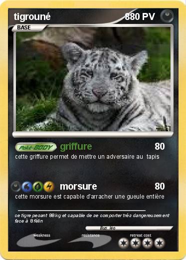 Pokemon tigrouné                             8