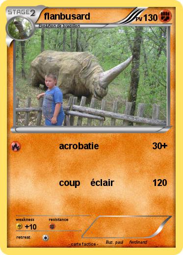 Pokemon flanbusard