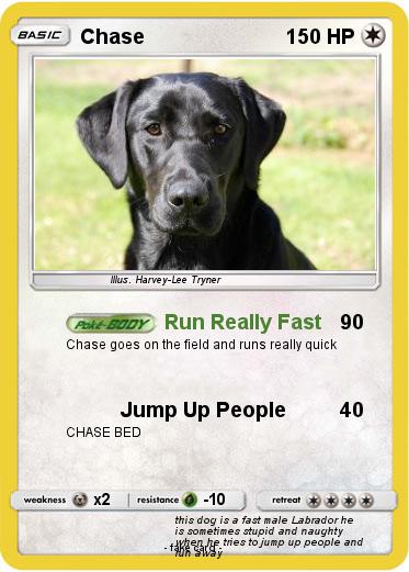 Pokemon Chase