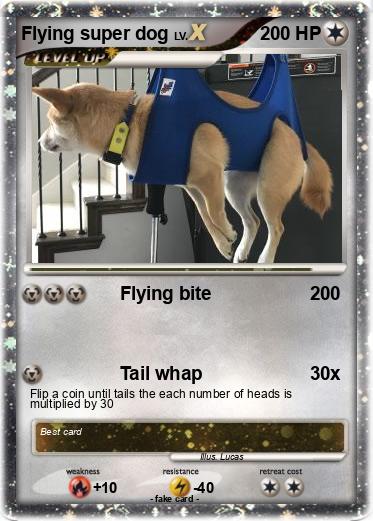 Pokemon Flying super dog