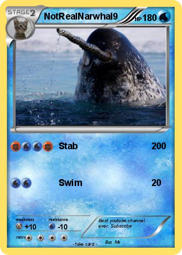Pokemon NotRealNarwhal9