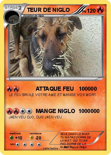 Pokemon TEUR DE NIGLO