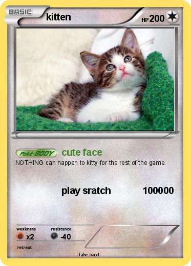 Pokemon kitten
