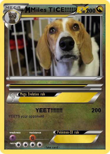 Pokemon Miles TICE!!!!!!!