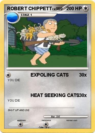 Pokemon ROBERT CHIPPETT