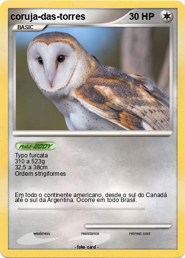 Pokemon coruja-das-torres