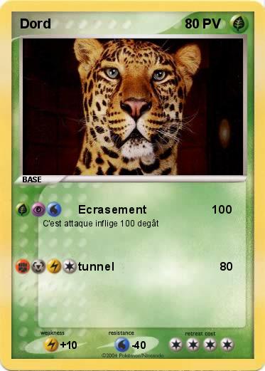 Pokemon Dord