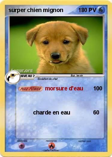 Pokemon surper chien mignon