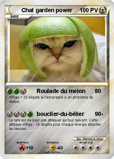 Pokemon Chat garden power