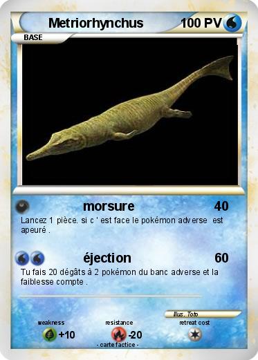 Pokemon Metriorhynchus