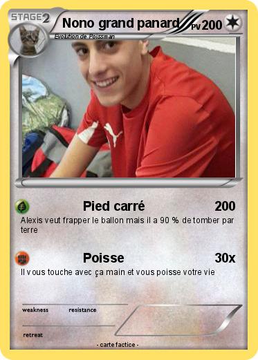 Pokemon Nono grand panard
