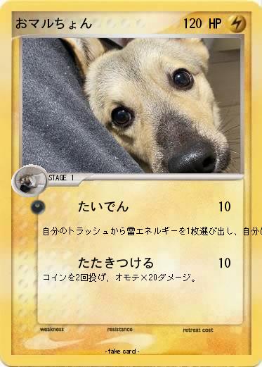 Pokemon おマルちょん