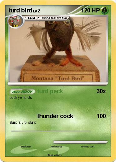 Pokemon turd bird