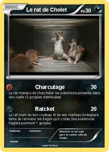 Pokemon Le rat de Cholet