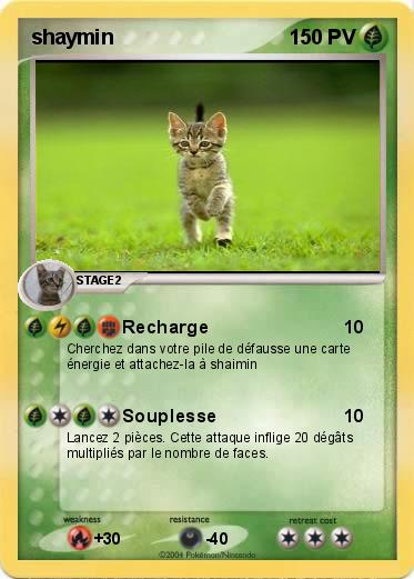Pokemon shaymin
