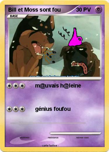 Pokemon Bill et Moss sont fou