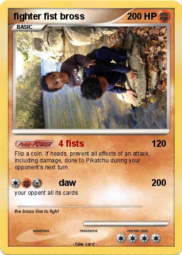 Pokemon fighter fist bross