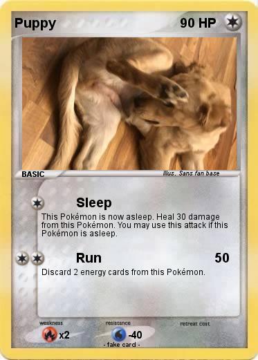 Pokemon Puppy