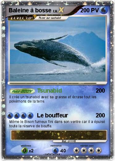 Pokemon Baleine à bosse
