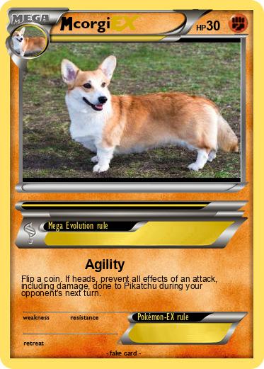 Pokemon corgi
