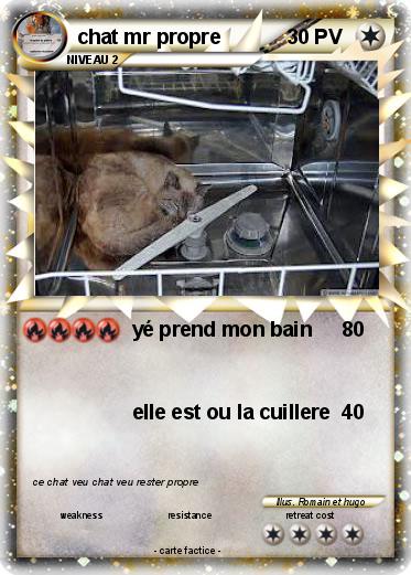 Pokemon chat mr propre