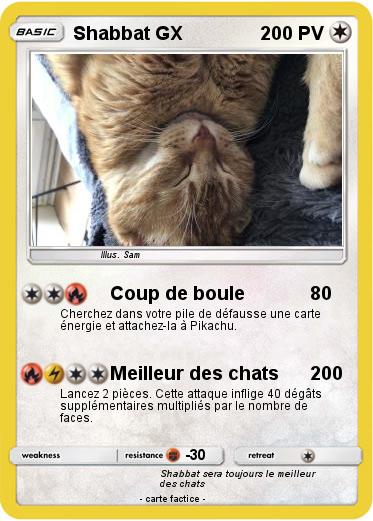 Pokemon Shabbat GX