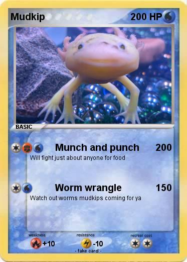 Pokemon Mudkip