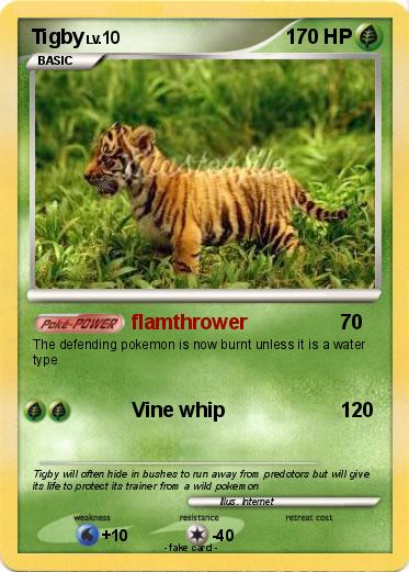 Pokemon Tigby