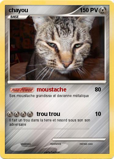 Pokemon chayou
